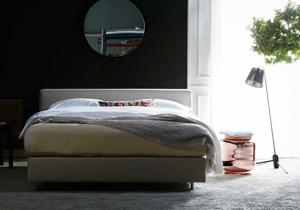 Schramm Purebeds Cube