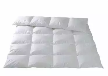 www.leeners.de-116-00024-20