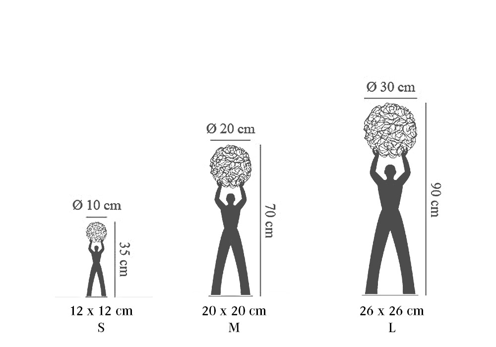Catellani & Smith | Tischleuchte | Uomo Della Luce Grafik