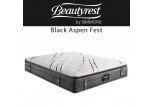www.leeners.de-Simmons-aspen-09